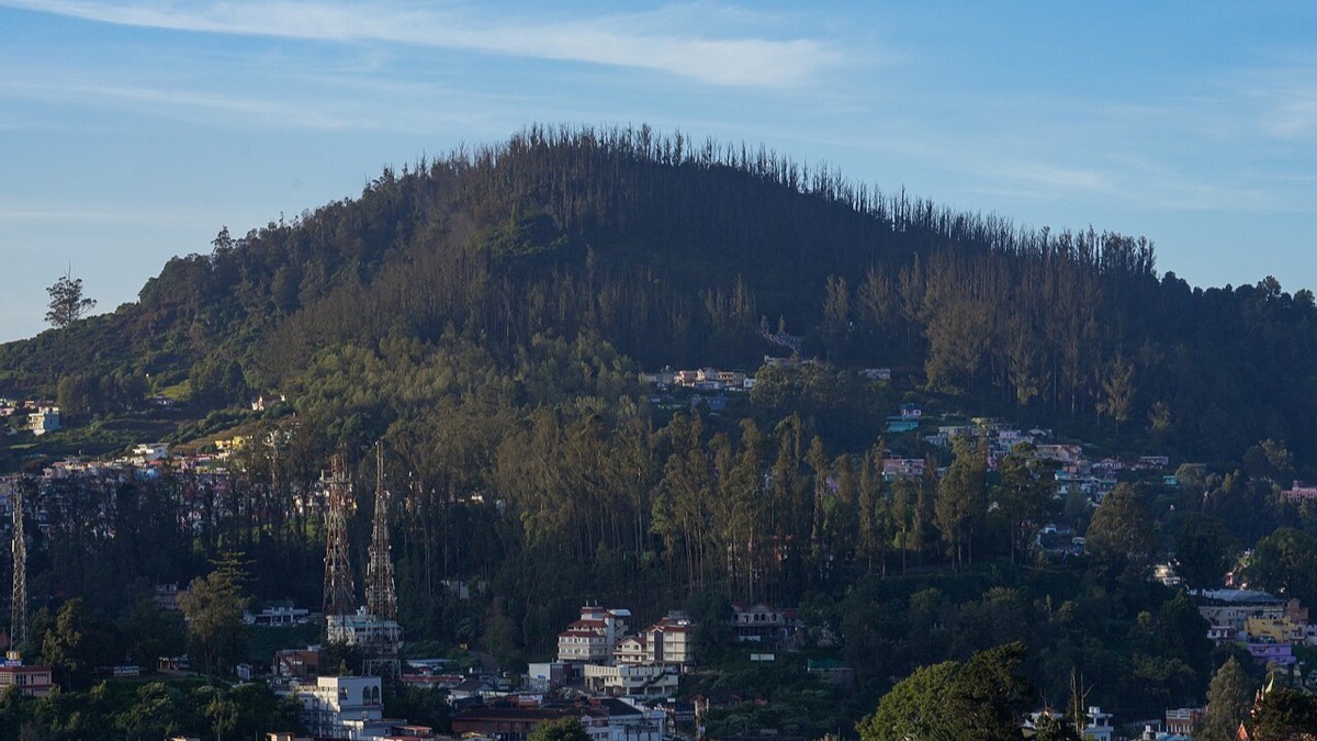 Nilgiri hills near Ooty
